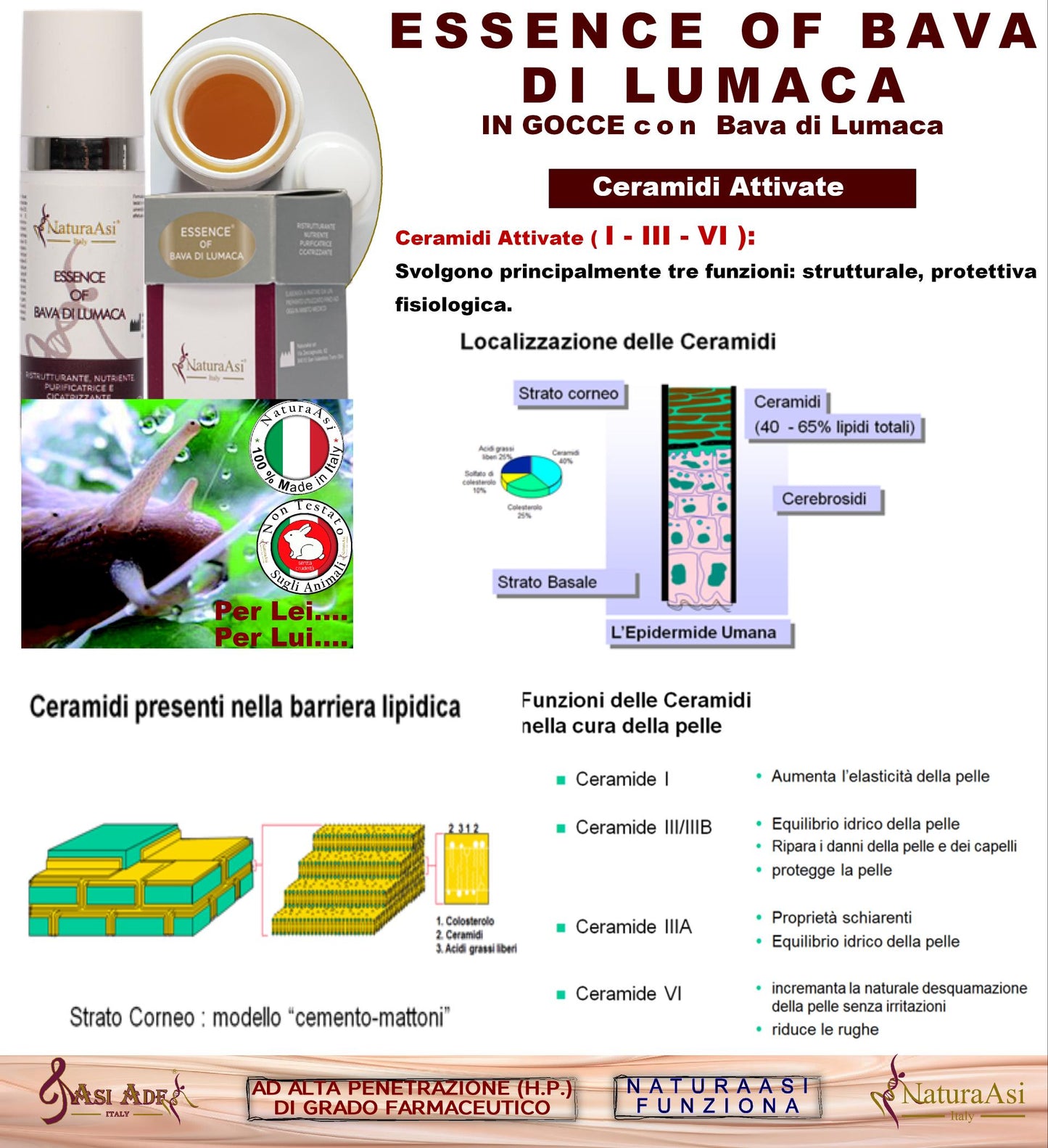 ESSENCE OF BAVA DI LUMACA NaturaAsi™ 15ml NATURAASI RISTRUTTURANTE, NUTRIENTE, PURIFICATRICE E CICATRIZZANTE riduce segni dell’acne; -contrasta le rughe e i segni d’espressione cicatrizzante Bava di lumaca Ceramidi attivate