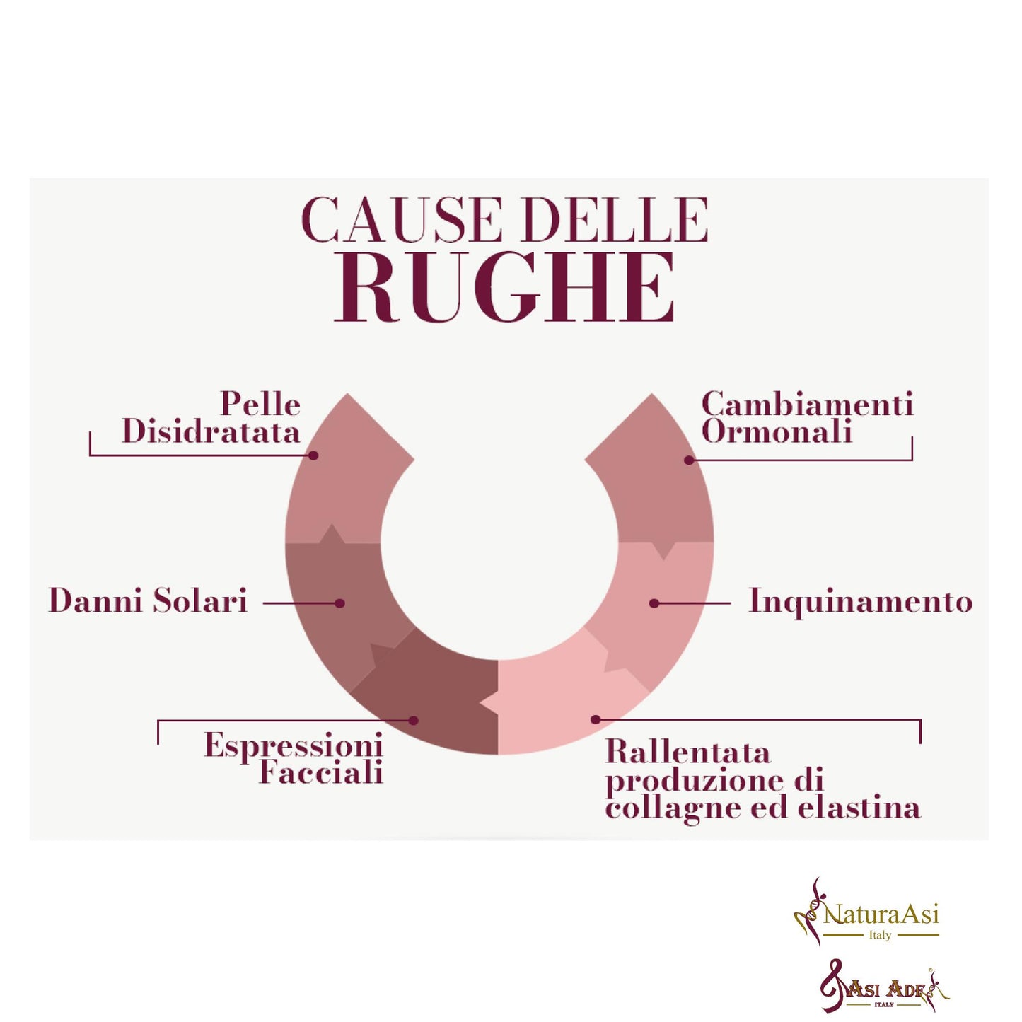 CREMA RUGHE NOTTE | NaturaAsi™ ml50 NUTRIENTE, ANTIOSSIDANTE, RIGENERANTE Rigenera e Nutre in profondità Possiede un effetto Rimpolpante; -Riempie le rughe e le linee sottili;