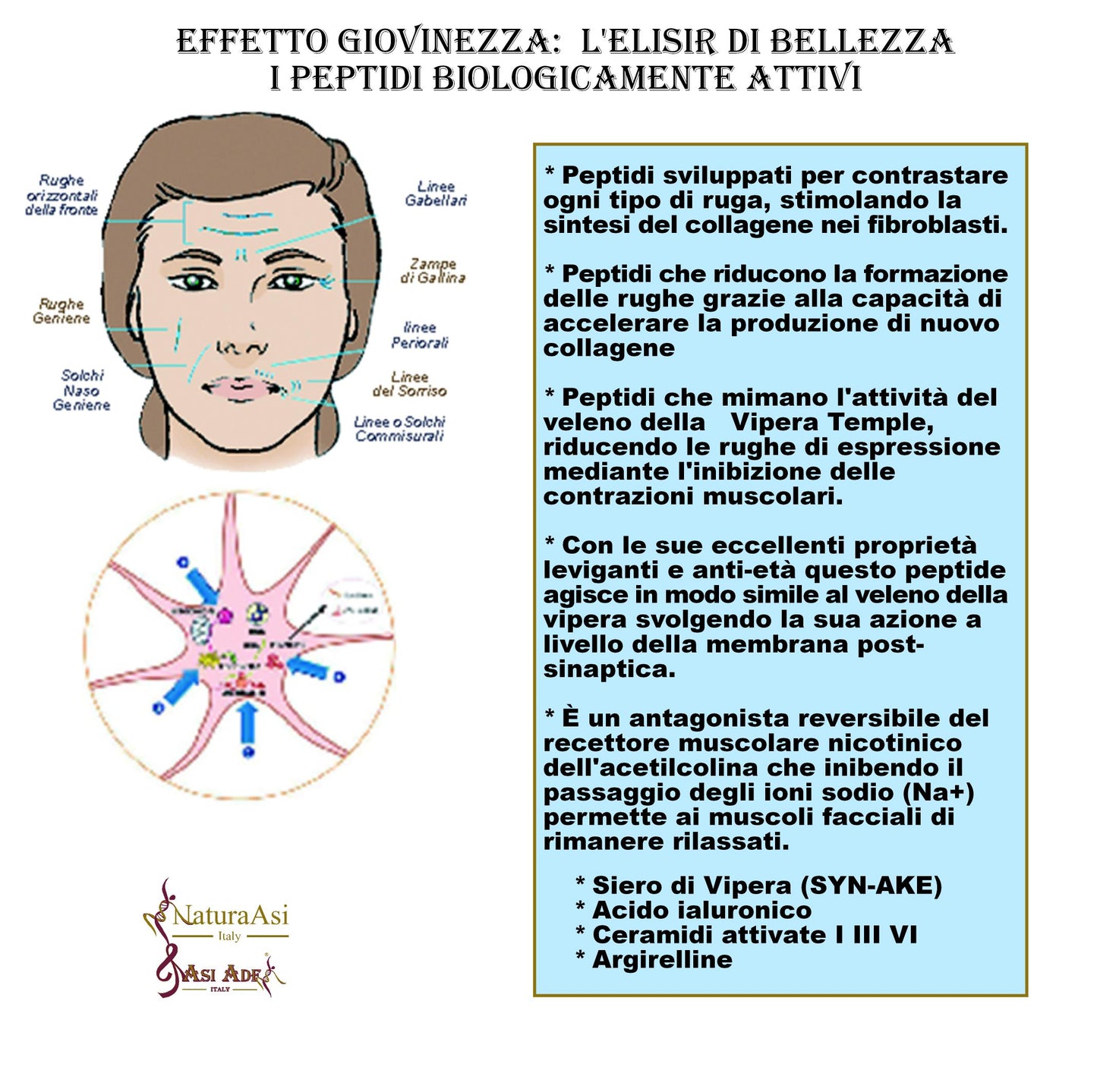 CREMA RUGHE NOTTE | NaturaAsi™ ml50 NUTRIENTE, ANTIOSSIDANTE, RIGENERANTE Rigenera e Nutre in profondità Possiede un effetto Rimpolpante; -Riempie le rughe e le linee sottili;